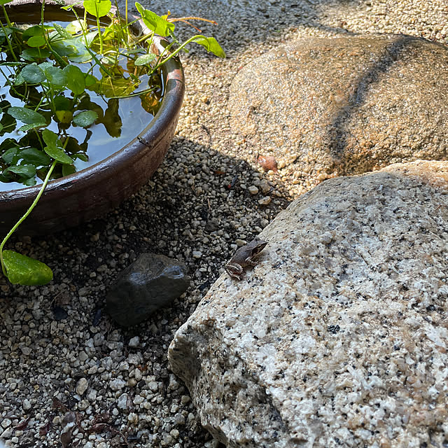 shin0719さんの実例写真