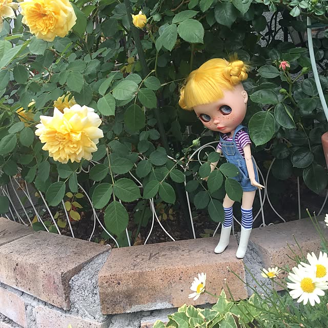 greenroseさんの実例写真