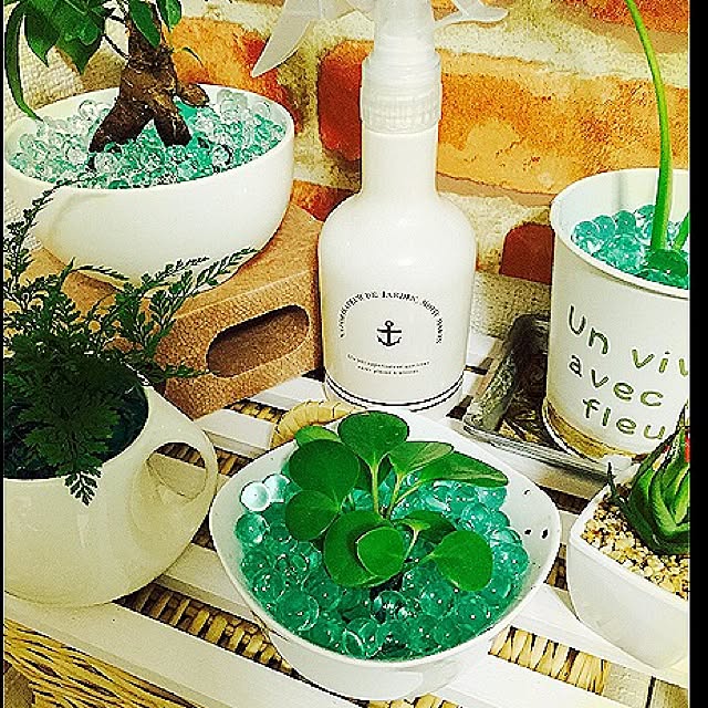 sayaさんの実例写真