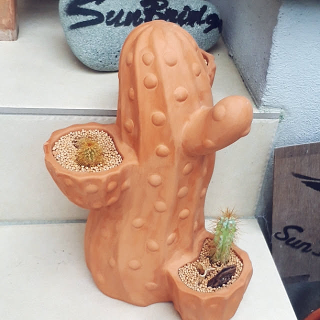 shiiitanさんの実例写真