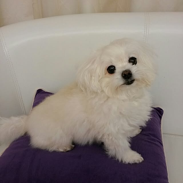 moさんの実例写真