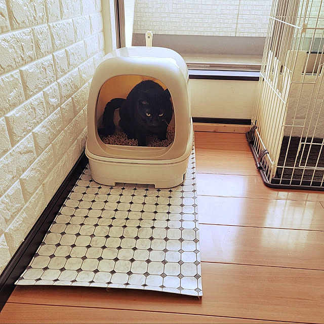 396629manaさんの実例写真