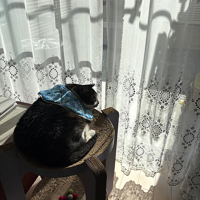 mame-minさんの実例写真