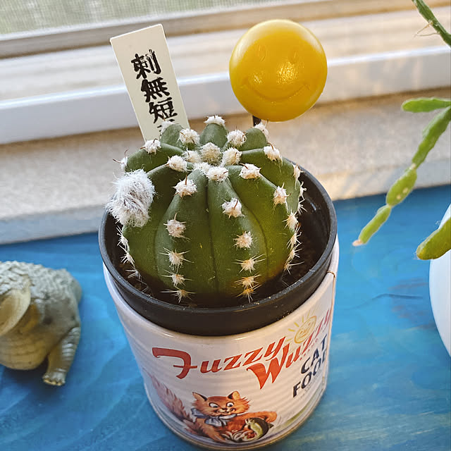 rie-n.さんの実例写真