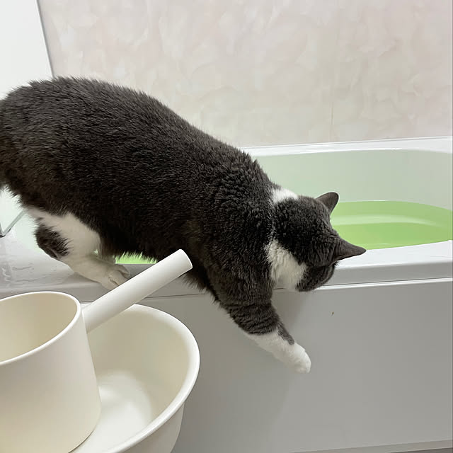 minaさんの実例写真