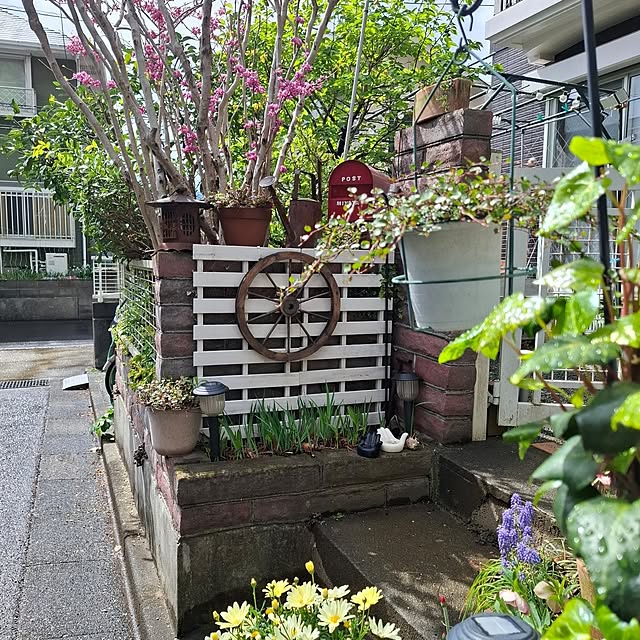 midoriさんの部屋
