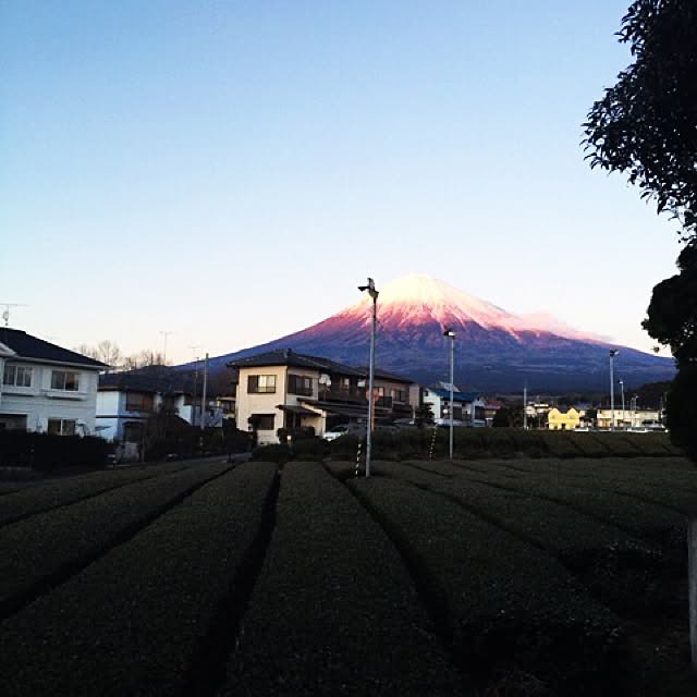 実例写真