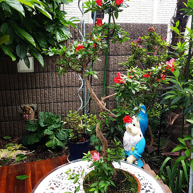 sacchanさんの実例写真