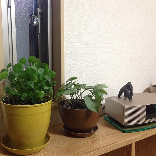 kutsusukiさんの実例写真