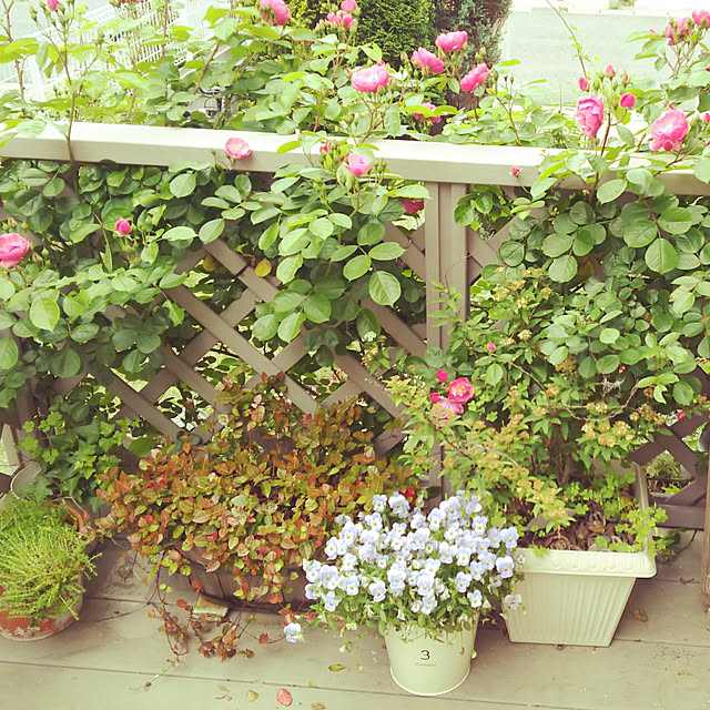 YU-KAさんの実例写真