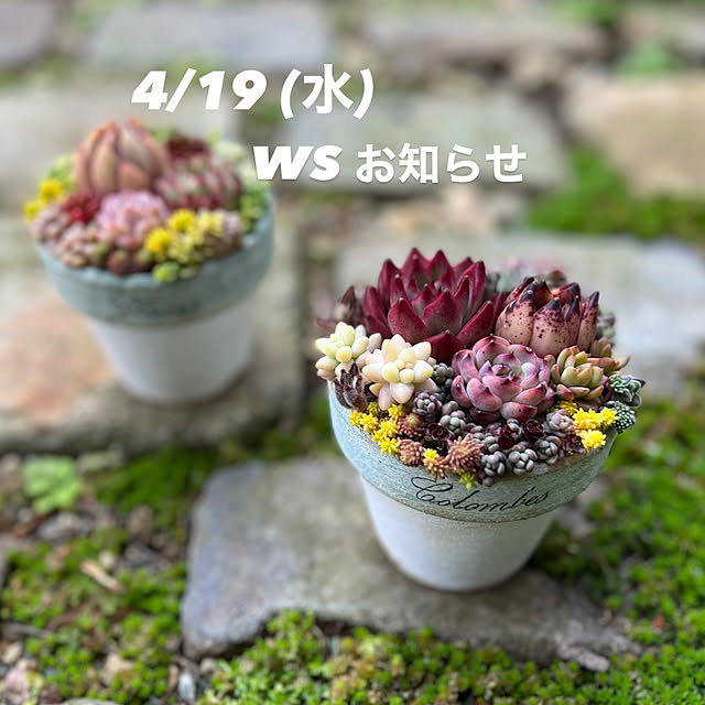 keiさんの実例写真