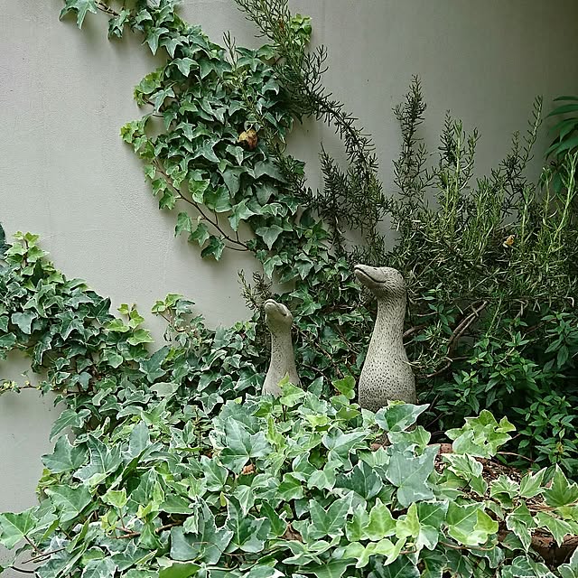 figaroさんの実例写真