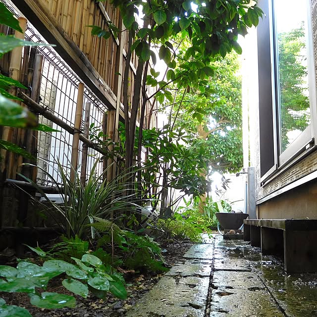 yasu10さんの実例写真