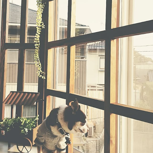 roco0625さんの実例写真