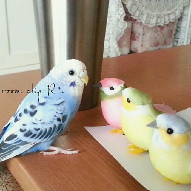 Rさんの実例写真