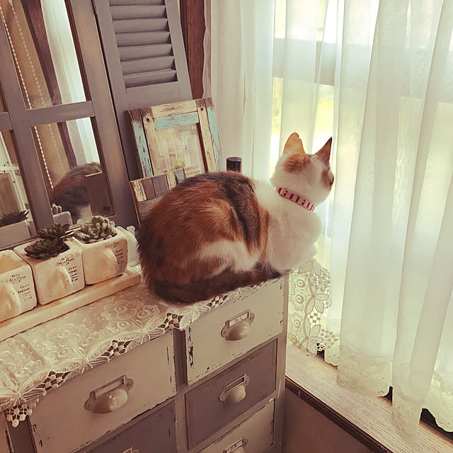 marimoさんの実例写真