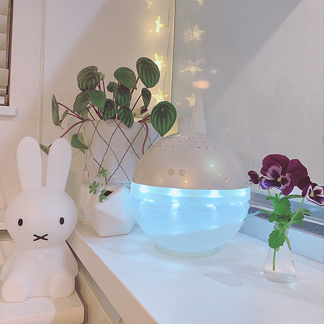 cocoさんの実例写真