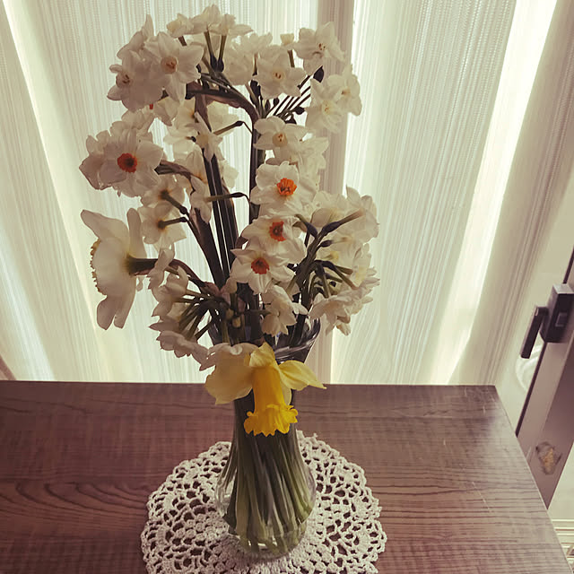 kou-kitiさんの実例写真