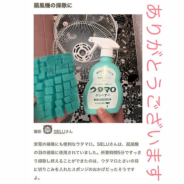 SIELUさんの実例写真