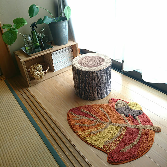 akooさんの実例写真