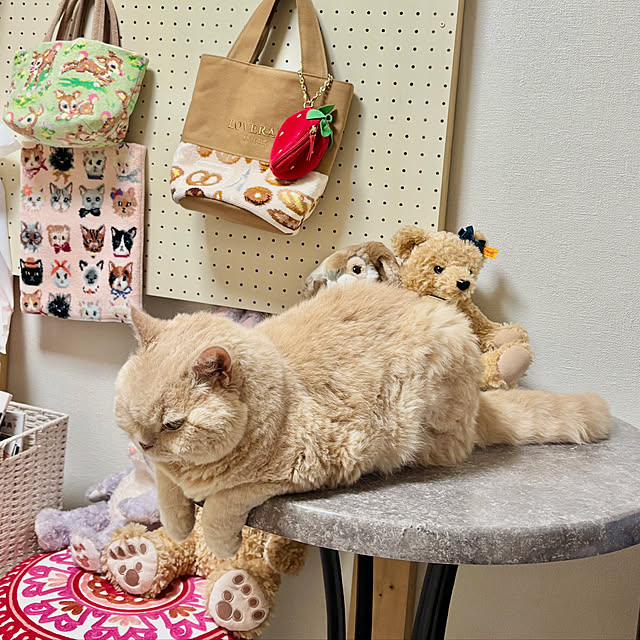 naokoさんの部屋