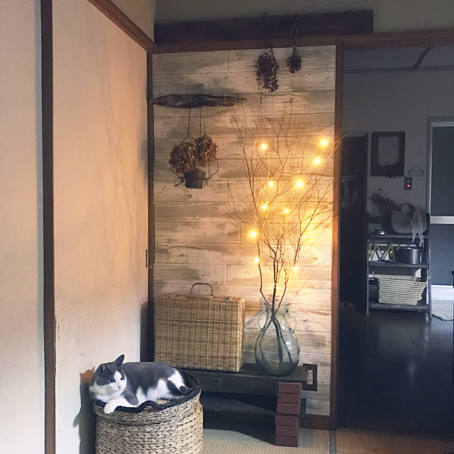 mucc08さんの実例写真