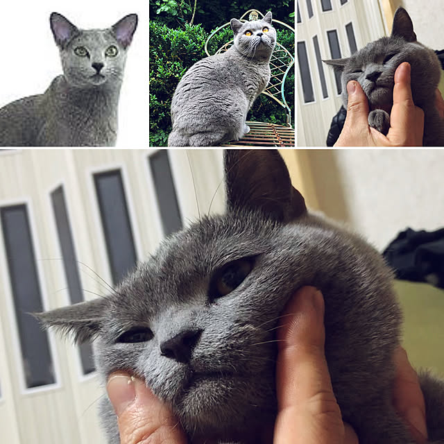 masaさんの実例写真
