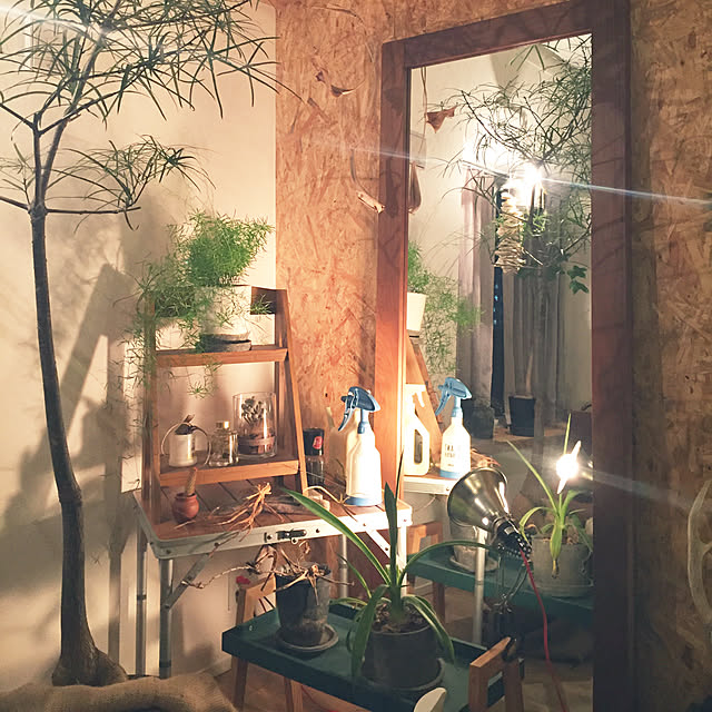 northkumayatさんの実例写真