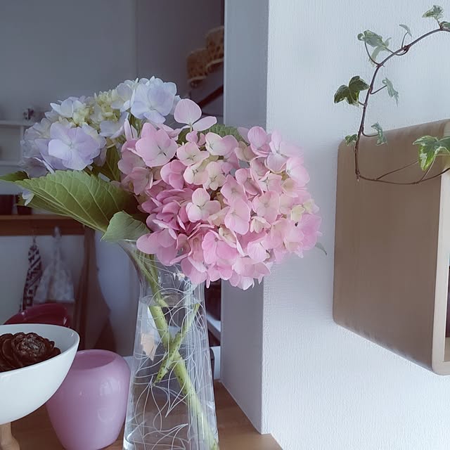 pinponmamさんの部屋