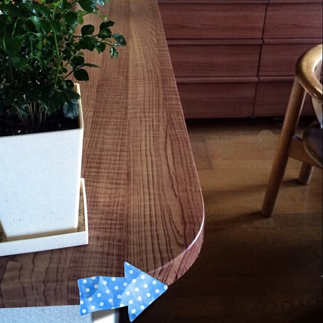 実例写真