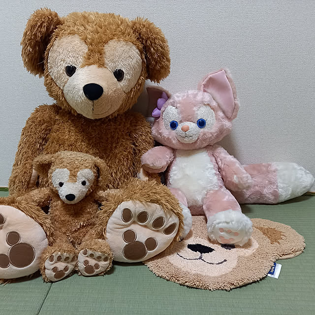 mayuminさんの実例写真