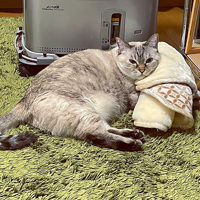 Ny77Coronさんの実例写真