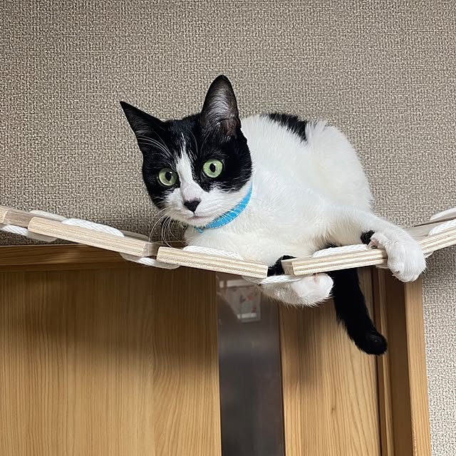 masumiさんの部屋