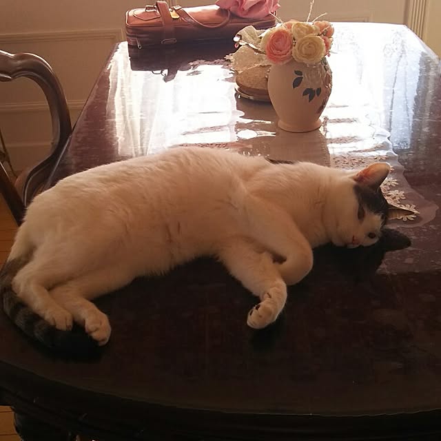 sakuraさんの実例写真