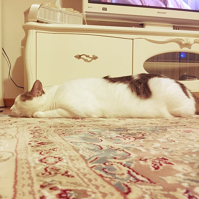 coedodecoさんの実例写真
