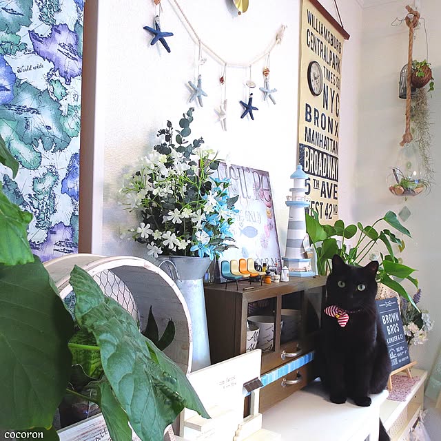 cocoronさんの実例写真