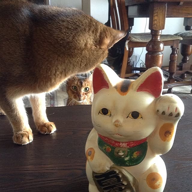 wallclockさんの実例写真