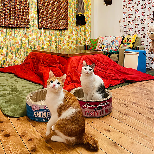 meさんの実例写真