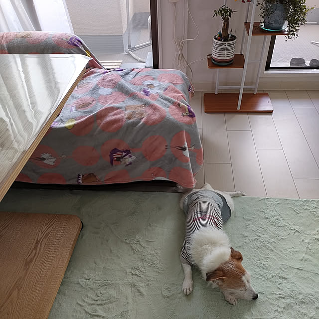marosukeさんの実例写真