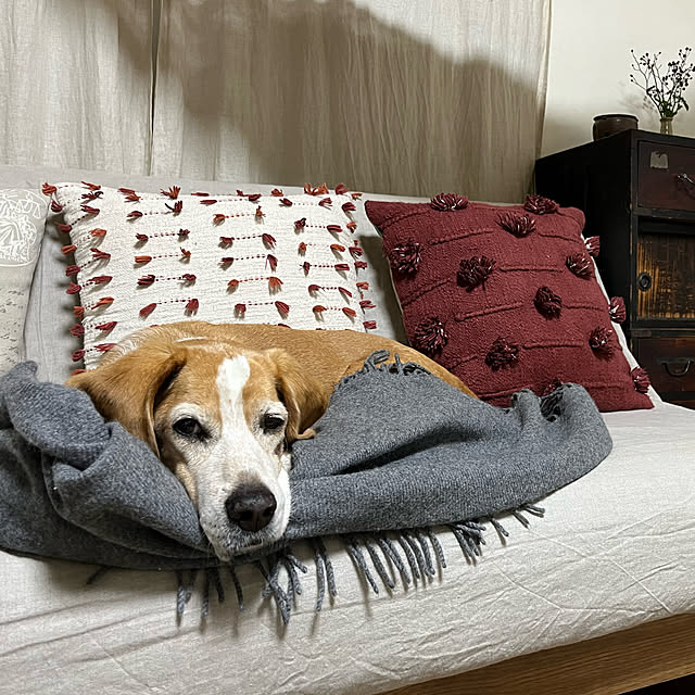 kuuさんの部屋