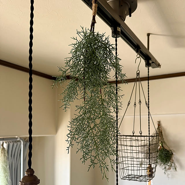 yasuyo66さんの部屋