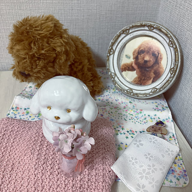 amecoさんの実例写真