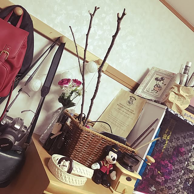 AliceHoldsworthさんの実例写真