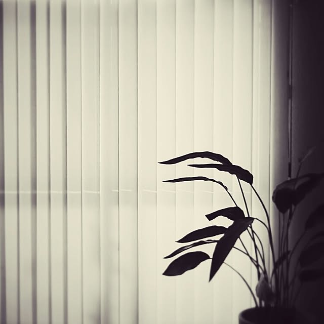 tmg.gさんの実例写真