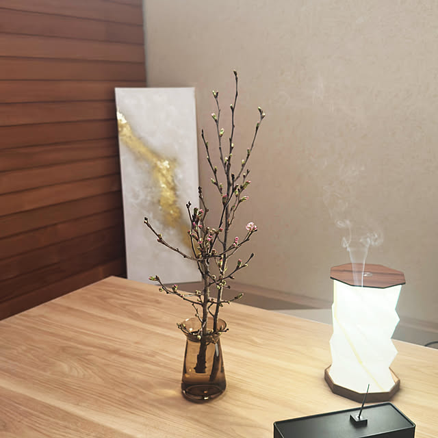 piroaiさんの部屋