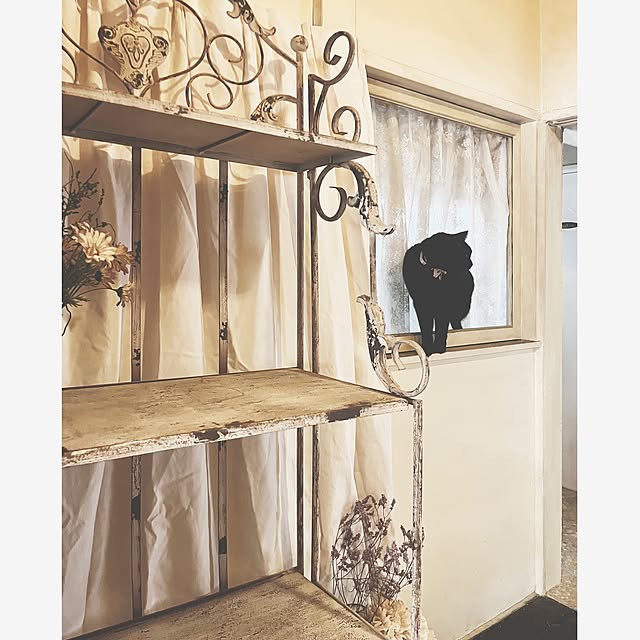 ataさんの実例写真