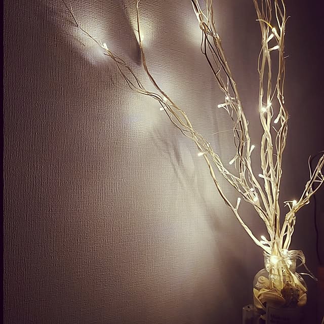 m.asaさんの実例写真