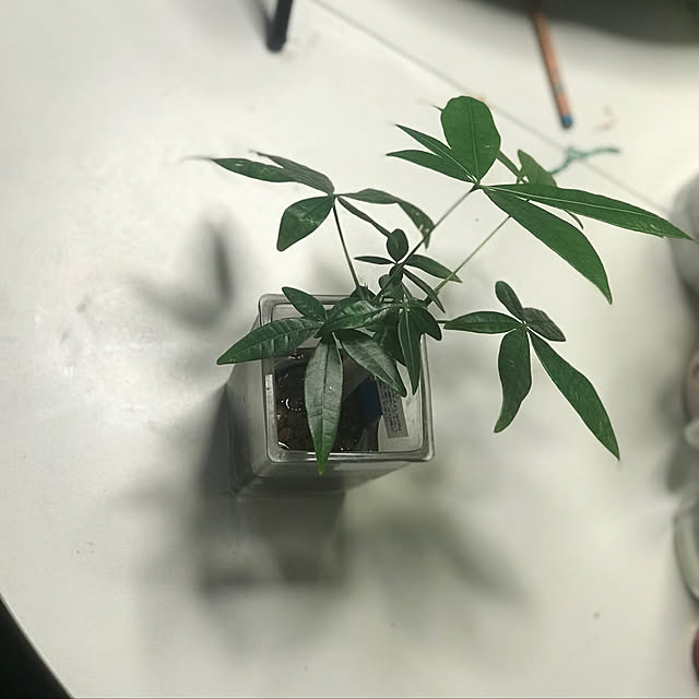部屋全体のインテリア実例 - 2020-05-25 09:20:06