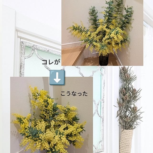 fumitanさんの部屋