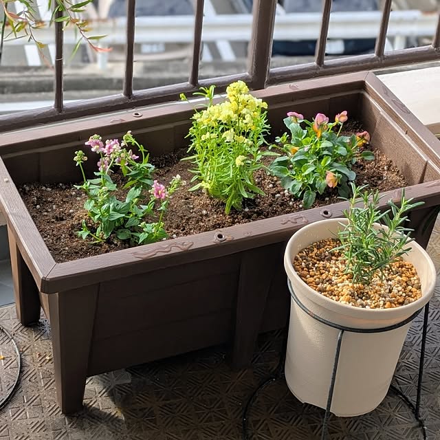 mi-saさんの部屋